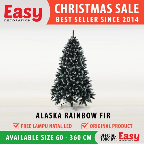 Pohon Natal Alaska Rainbow Fir Ukuran 2 - 12 Feet Christmas Tree